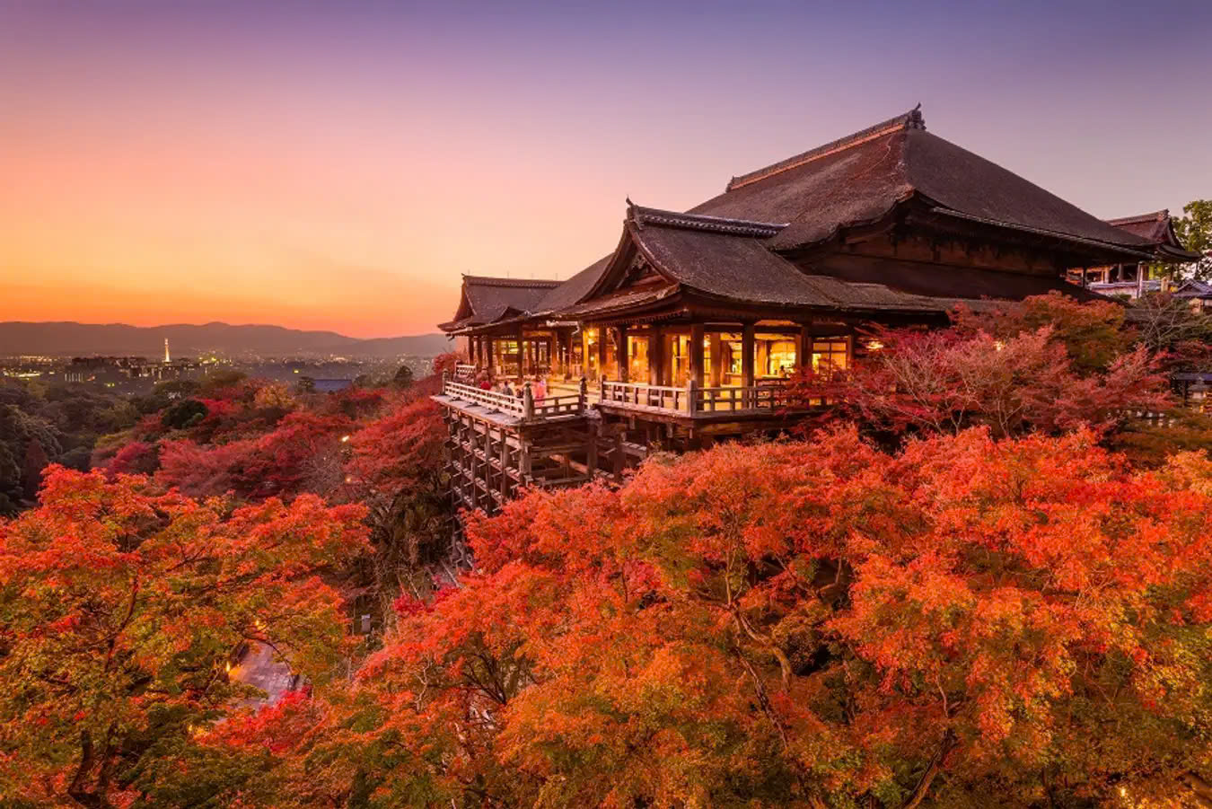 moontravel.com.vn