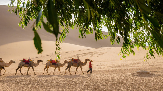 moontravel.com.vn