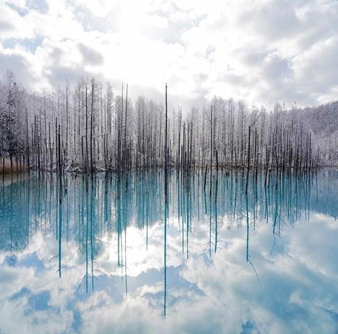 2026 year edition] 9 elections of Furano and tourist attraction where winter in Biei and Tomamu is enjoyed- MICHIKUSA Guide ~ An Original Japan Travel Guide by Hoshino Resorts' Local Staff
