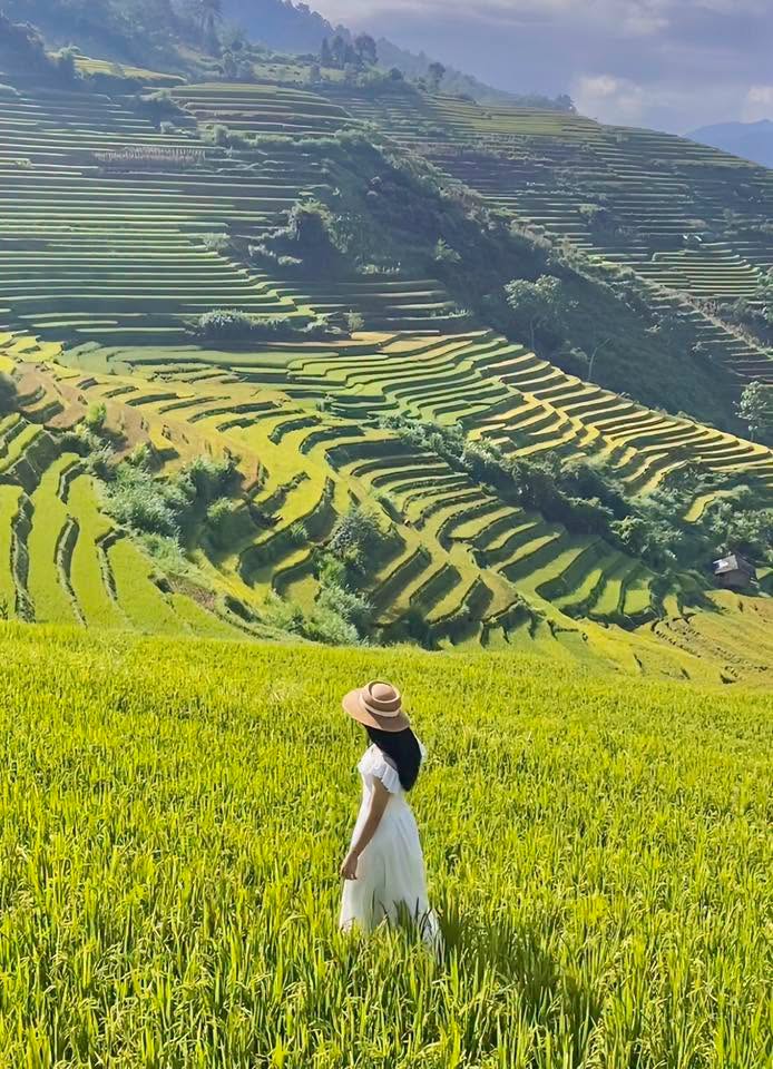 moontravel.com.vn