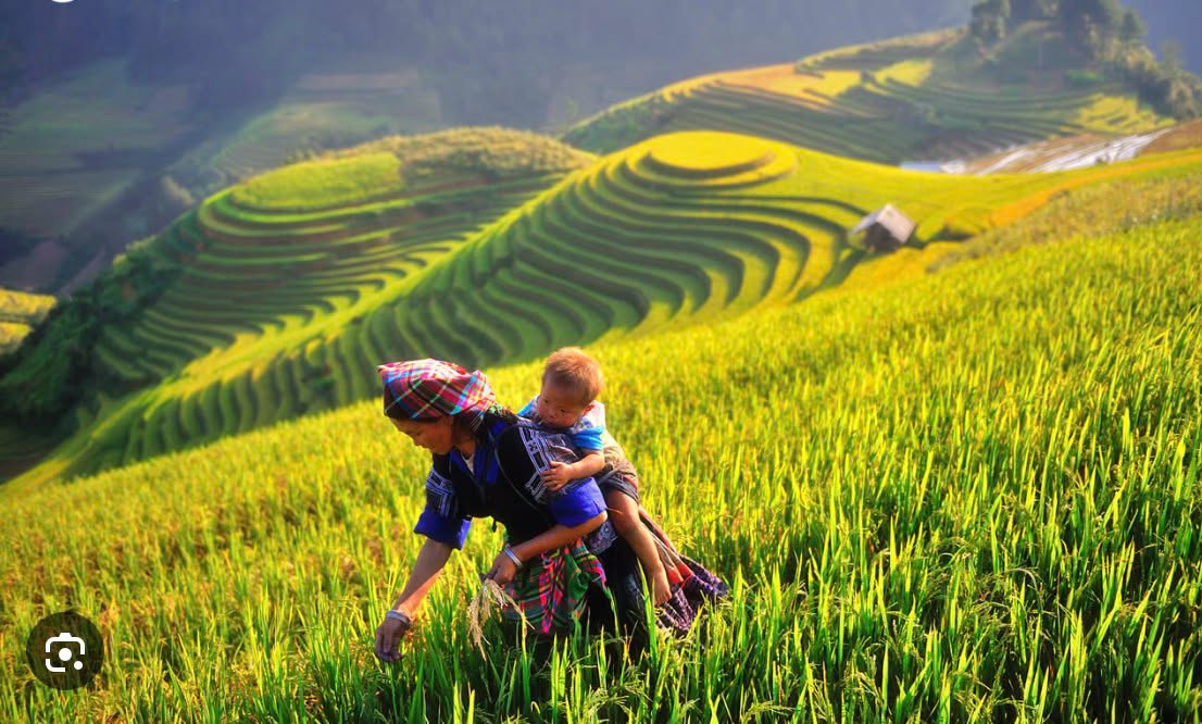 moontravel.com.vn
