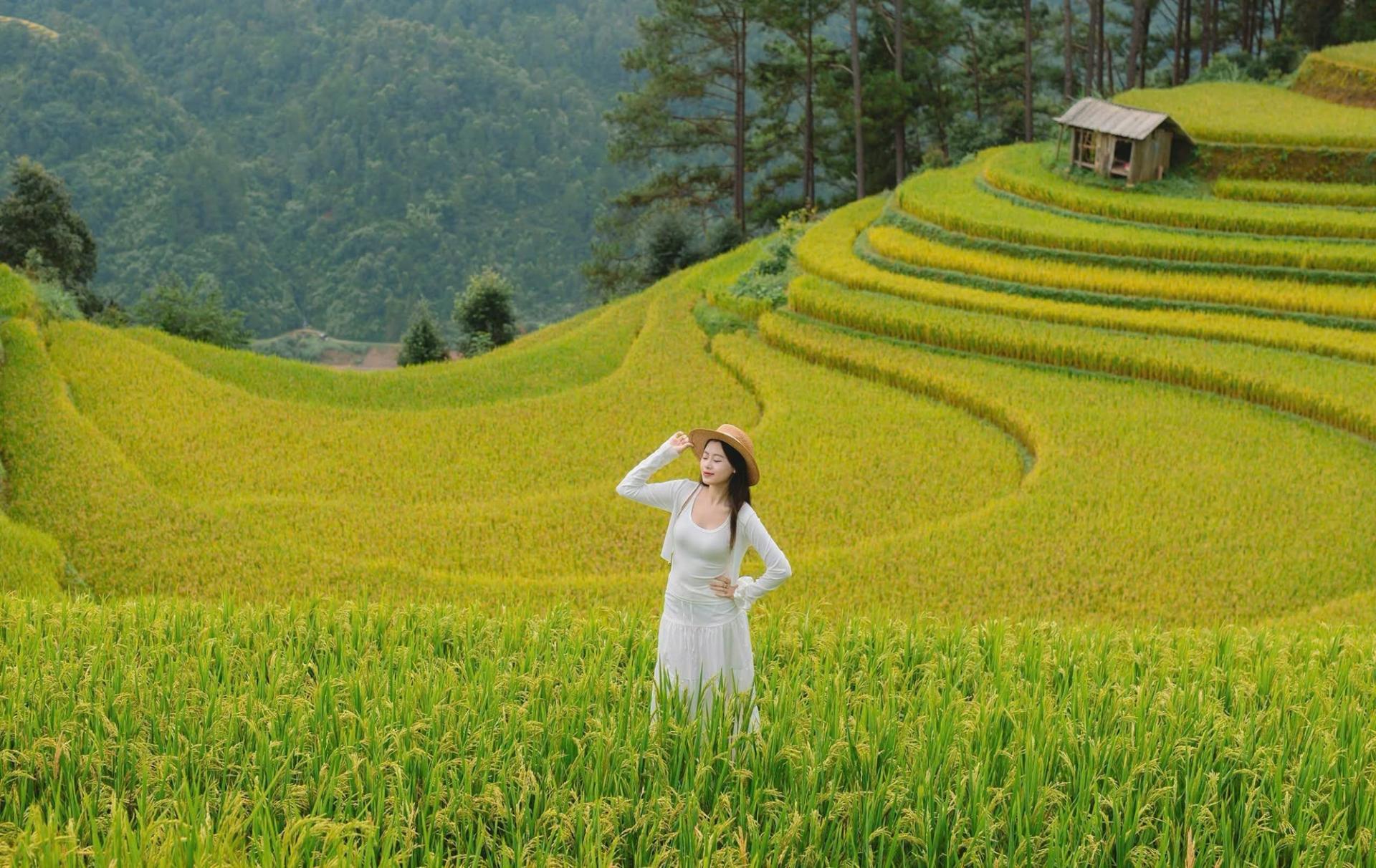 moontravel.com.vn