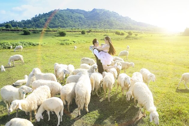moontravel.com.vn