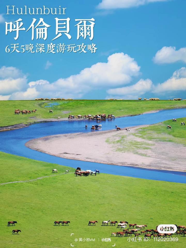moontravel.com.vn